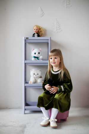 Стеллаж SHT-SS25-4