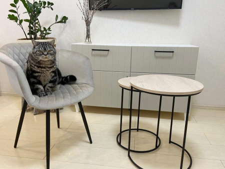 Столик кофейный SHT-CT7