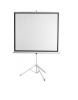 Экран для проектора со штативом