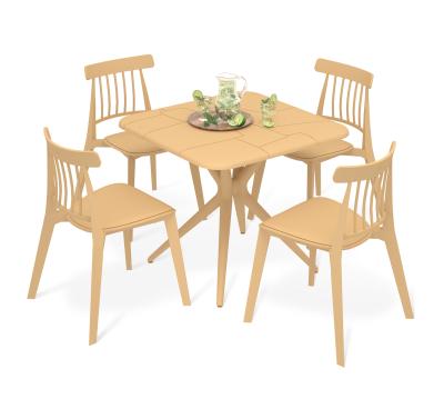 Обеденная группа SHT-DS271