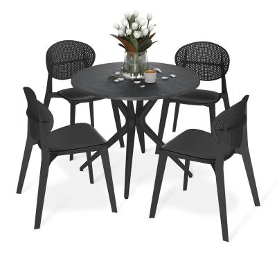 Обеденная группа SHT-DS254