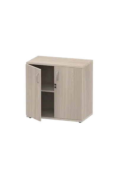 Шкаф для документов 2 уровня ясень