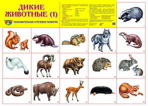 Плакат А2 (комплект разрезных карточек) Дикие животные-1 
