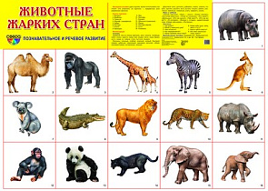 Плакат А2 (комплект разрезных карточек) Животные жарких стран 6841