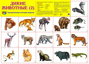 Плакат А2 (комплект разрезных карточек) Дикие животные-2