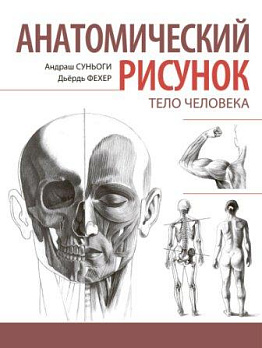 Анатомический рисунок.Тело человека