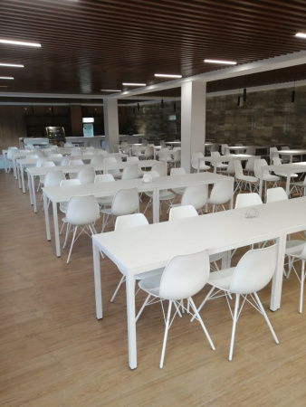 Каркас стула SHT-S37