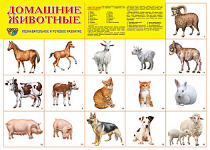Плакат А2 (комплект разрезных карточек) Домашние животные 6840 