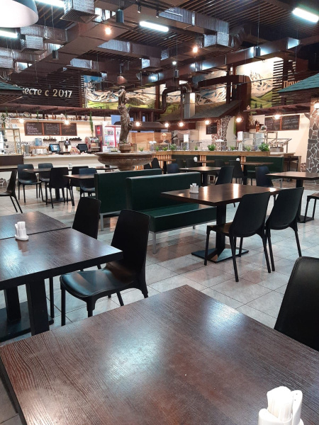 Каркас стула SHT-S424