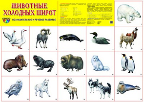 Плакат А2 (комплект разрезных карточек) Животные холодных широт 