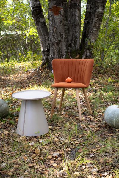 Столик журнальный SHT-CT61