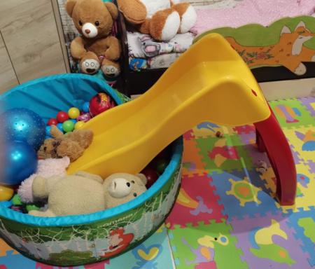 Игровая горка KIDS Дельфин 307