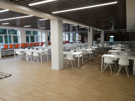 Каркас стула SHT-S37