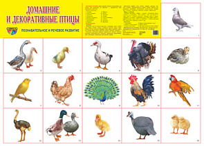 Плакат А2 (комплект разрезных карточек) Домашние и декоративные птицы 6880