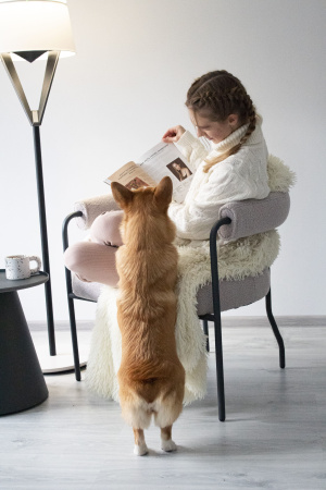 Кресло SHT-AMS120